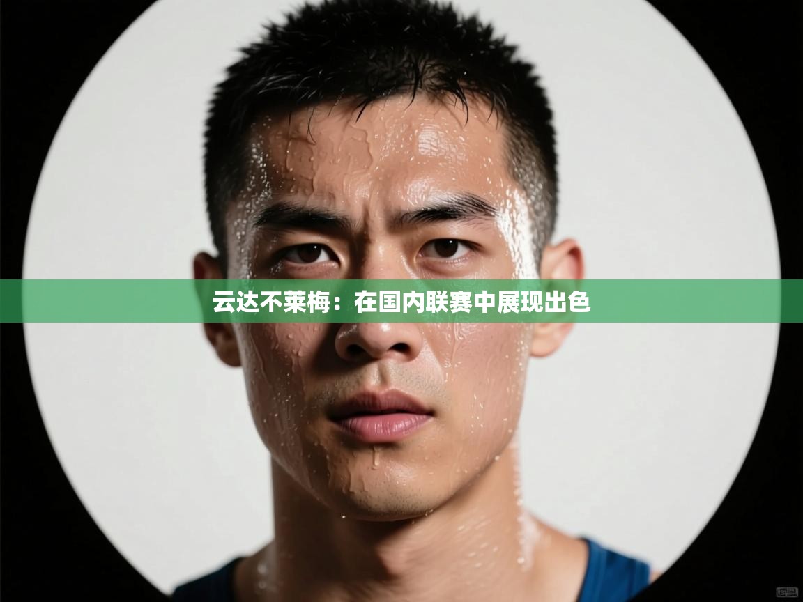 云达不莱梅：在国内联赛中展现出色  第2张