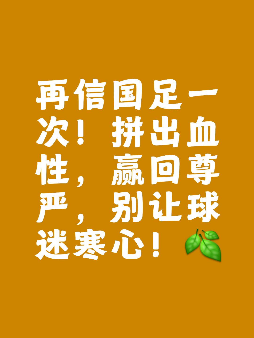 足球场上风云变幻，胜利属于勇敢者