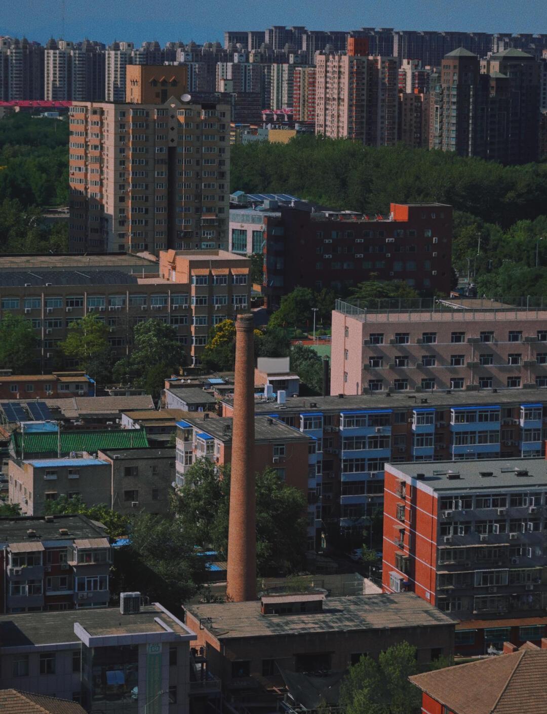 球员实力圈粉无数，欧预赛成为心头好